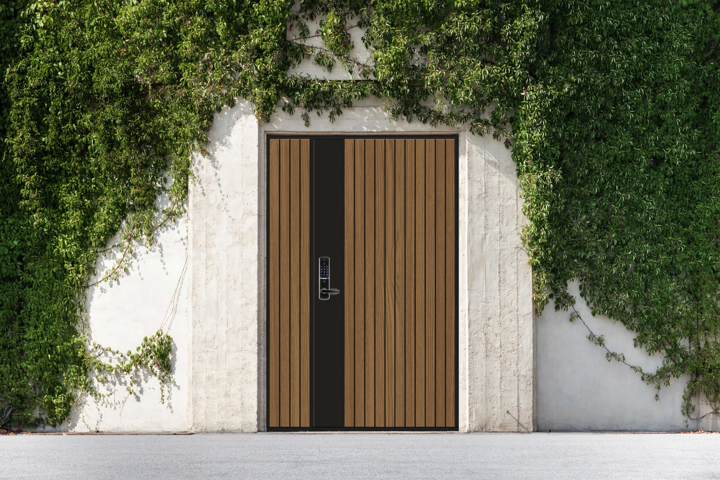Natural Premium Door